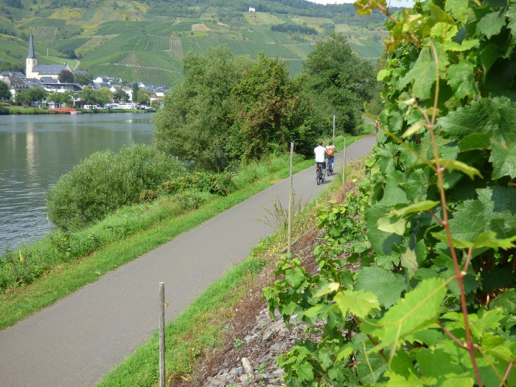 Sonnenhaus Ferienwohnungen Traben-Trarbach Exterior photo